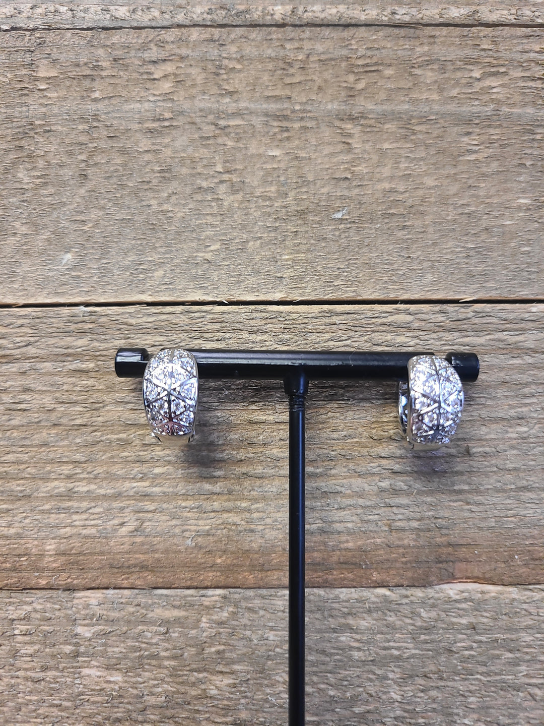 White Gold Dipped CZ Earring