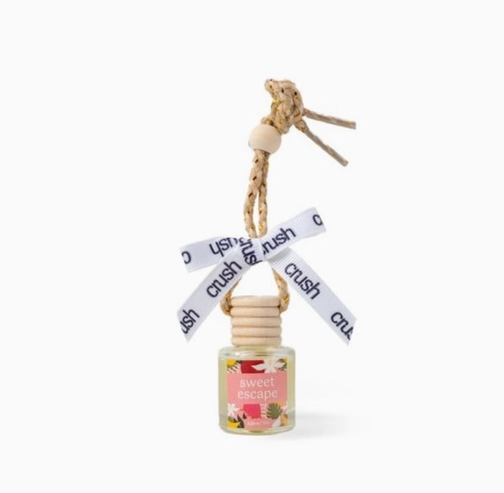 Hanging Scent Diffuser