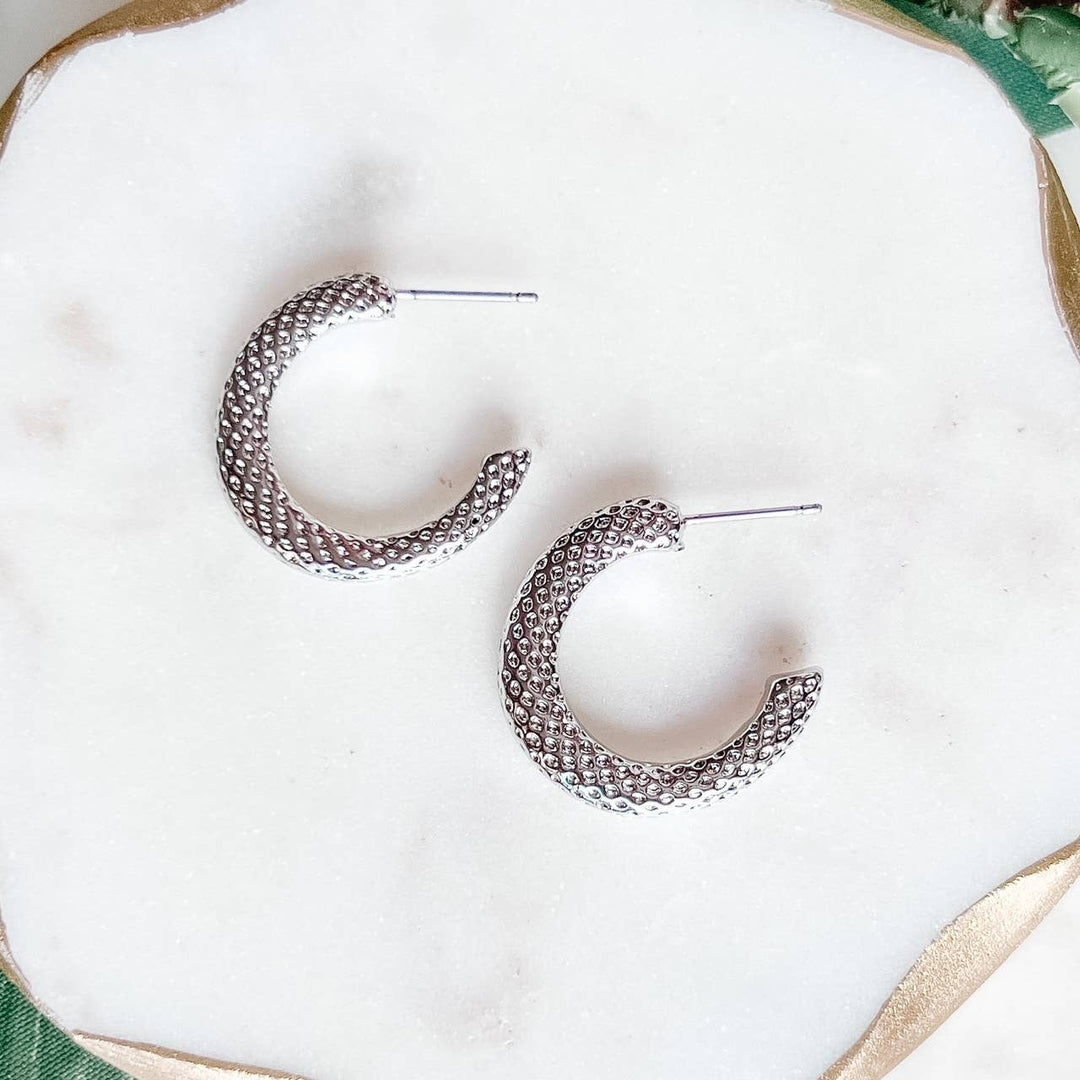 Silver Hoop Earrings